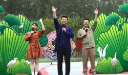 盈江新闻爆料视频最新消息,重大事件引发社会关注