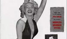 金星爆料花花公子视频,花花公子视频背后的惊人真相