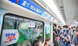 郴州新闻爆料号码,揭秘最新事件背后的真相